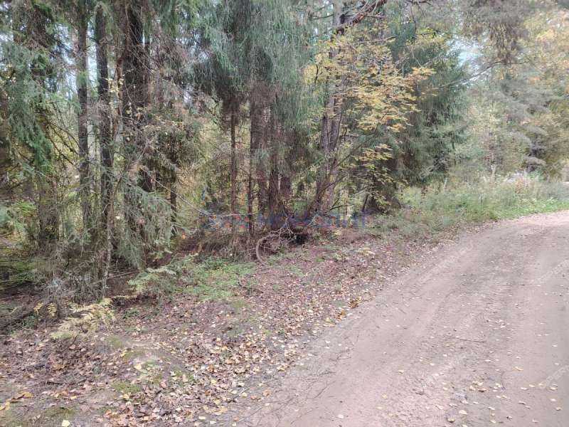 земельный участок 2 107 соток - деревня Бушнёво